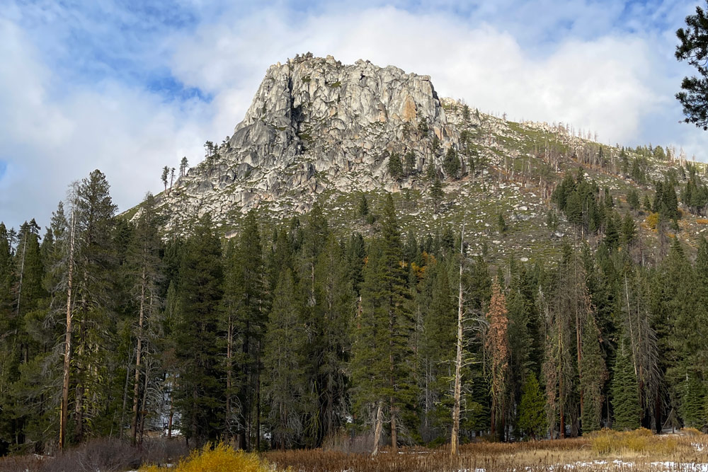 Iceberg Meadow